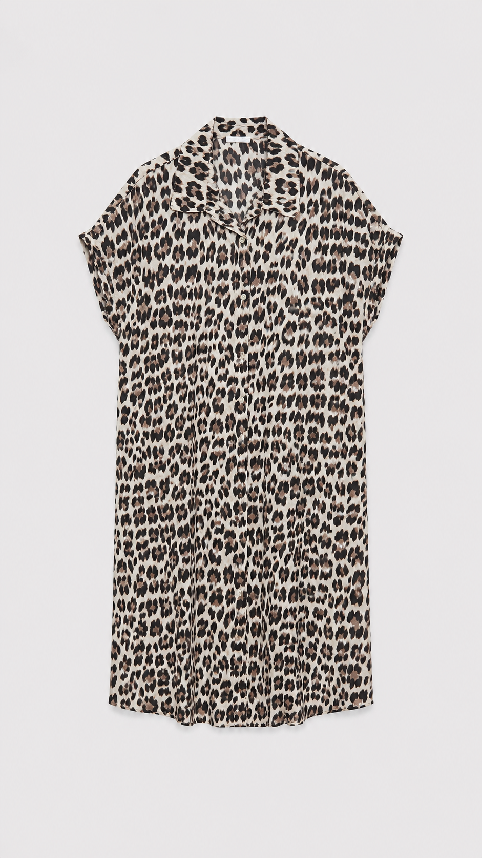 Camisa